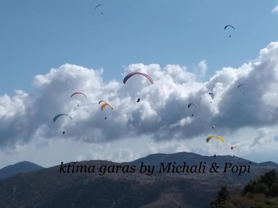 Ktima Garas Apartment Paralia Pantaleimonos Luaran gambar